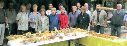 Preisschwammerln 2011
